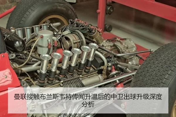 man-lian-jie-chu-bu-lan-si-wei-te-chuan-wen-sheng-wen-hou-de-zhong-wei-chu-qiu-sheng-ji-shen-du-fen-xi-2-472.jpg