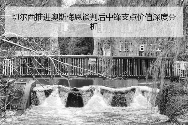 qie-er-xi-tui-jin-ao-si-mei-en-tan-pan-hou-zhong-feng-zhi-dian-jia-zhi-shen-du-fen-xi-2-165.jpg
